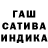 Каннабис планчик Gala Gubenko